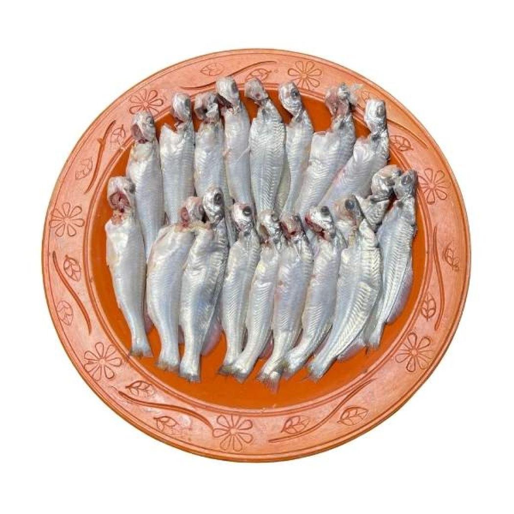 গুলসা টেংরা